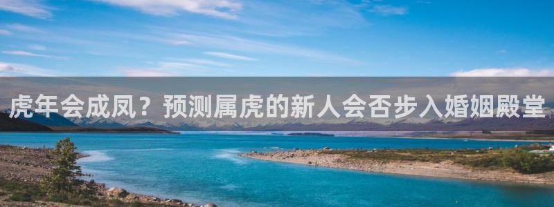 7790必发集团：虎年会成凤？预测属虎的新人会否步入婚姻殿堂