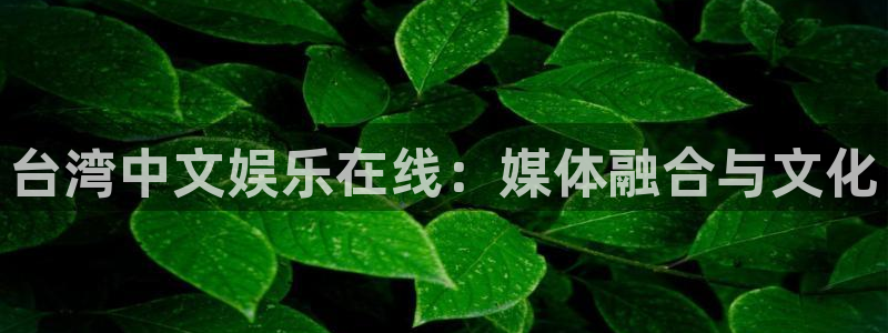 7790必发集团app官网最新版本：台湾中文娱乐在线：媒体融合与文化