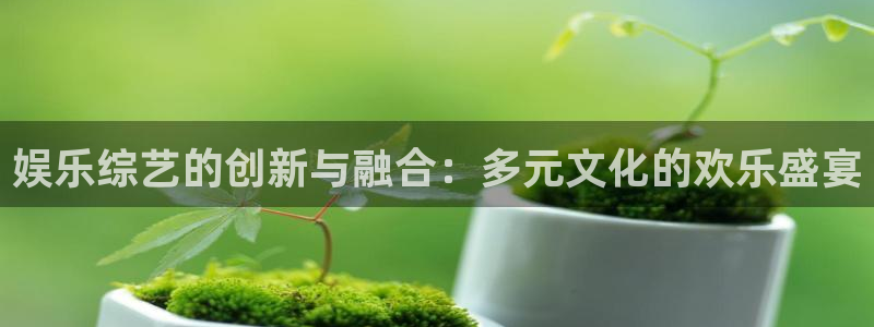7790cnm必发集团官网：娱乐综艺的创新与融合：多元文化的欢乐盛宴