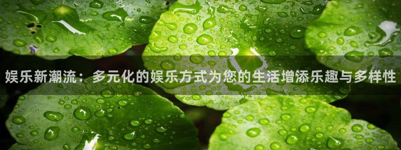 7790cnm必发集团登录：娱乐新潮流：多元化的娱乐方式为您的生活增添乐趣与多样性