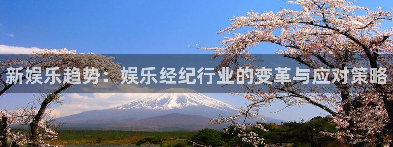 必发集团网站app：新娱乐趋势：娱乐经纪行业的变革与应对策略