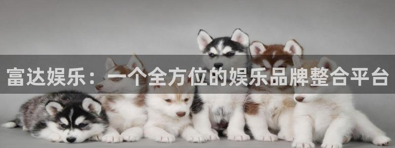 6690必发集团app：富达娱乐：一个全方位的娱乐品牌整合平台