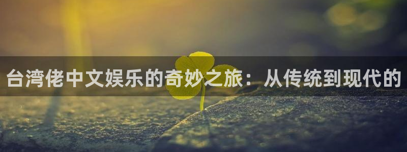 必发7790电子集团,必发集团欢迎光临：台湾佬中文娱乐的奇妙之旅：从传统到现代的