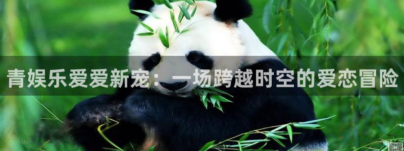 7790必发集团app官网最新版本：青娱乐爱爱新宠：一场跨越时空的爱恋冒险