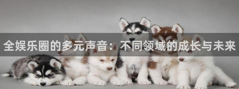 必发集团游戏官网：全娱乐圈的多元声音：不同领域的成长与未来