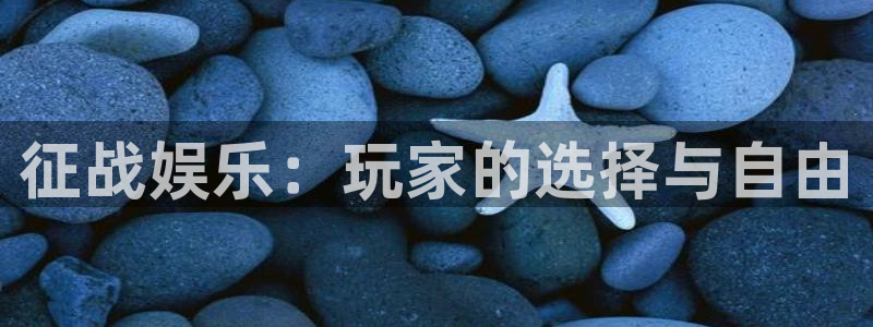 必发集团网站：征战娱乐：玩家的选择与自由