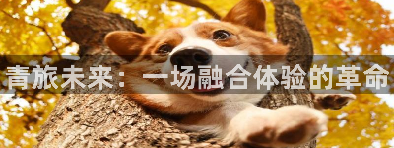 7790必发集团网址：青旅未来：一场融合体验的革命