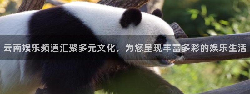 7790必发集团官网：云南娱乐频道汇聚多元文化，为您呈现丰富多彩的娱乐生活