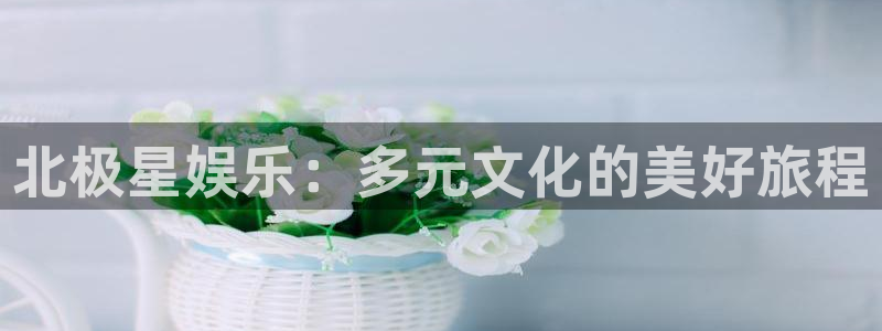 必发集团app下载：北极星娱乐：多元文化的美好旅程