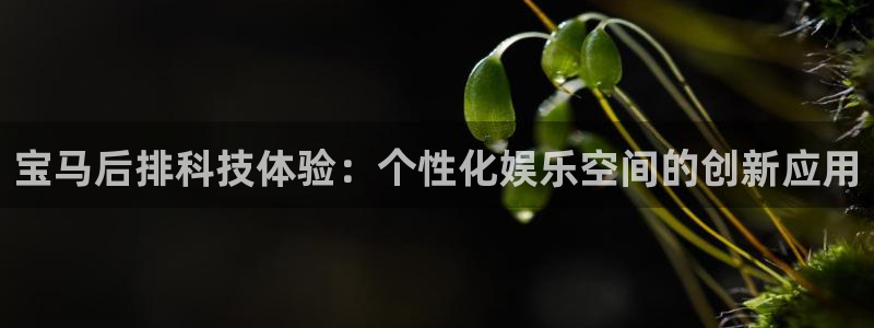 必发7790电子集团,必发集团欢迎光临：宝马后排科技体验：个性化娱乐空间的创新应用