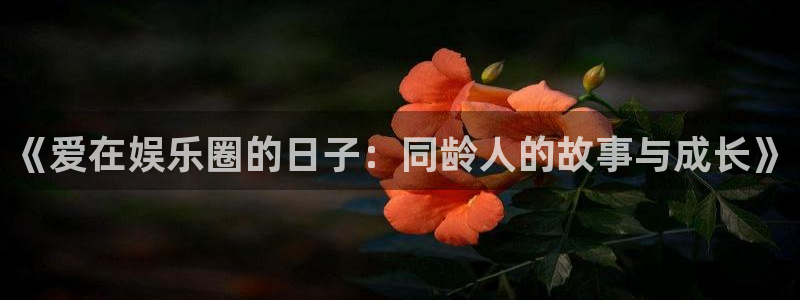必发集团官网：《爱在娱乐圈的日子：同龄人的故事与成长》