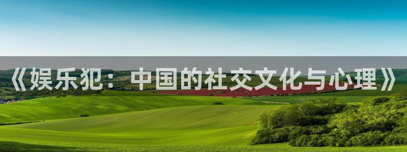 7790必发集团app客服：《娱乐犯：中国的社交文化与心理》