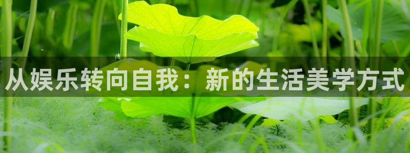 必发集团官网：从娱乐转向自我：新的生活美学方式
