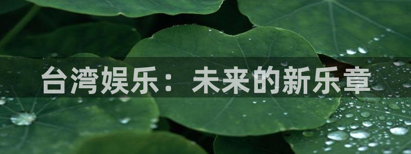必发集团app7790下载安装：台湾娱乐：未来的新乐章