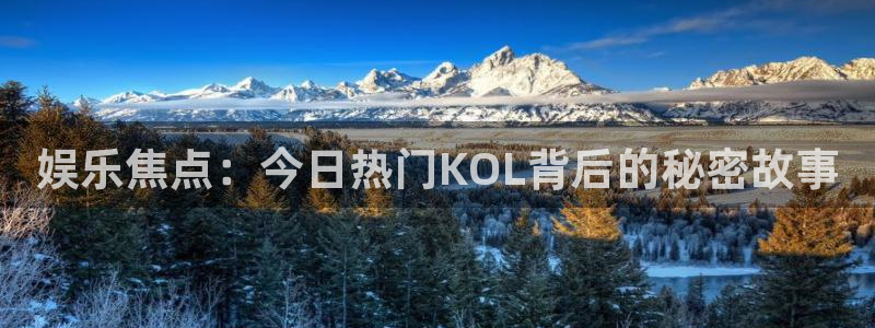 7790cnm必发集团官网：娱乐焦点：今日热门KOL背后的秘密故事