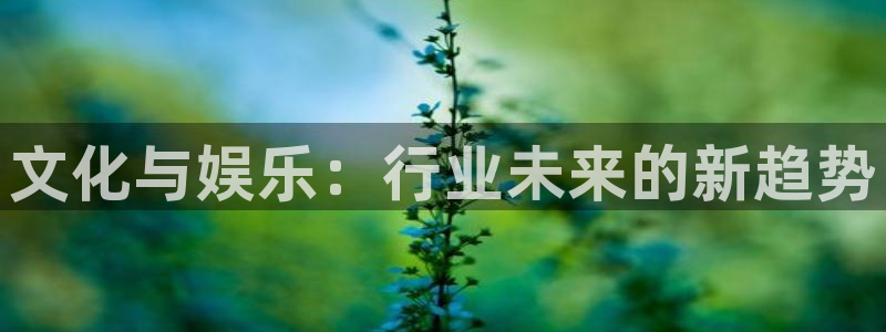6690必发集团下载：文化与娱乐：行业未来的新趋势